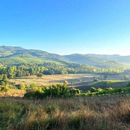 Chianti Dreaming In Radda 아파트