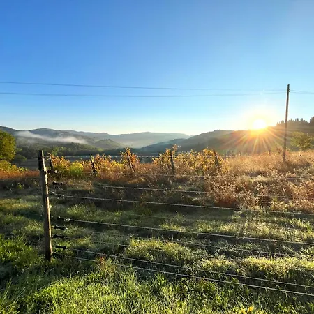 Daire Chianti Dreaming In Radda Radda in Chianti