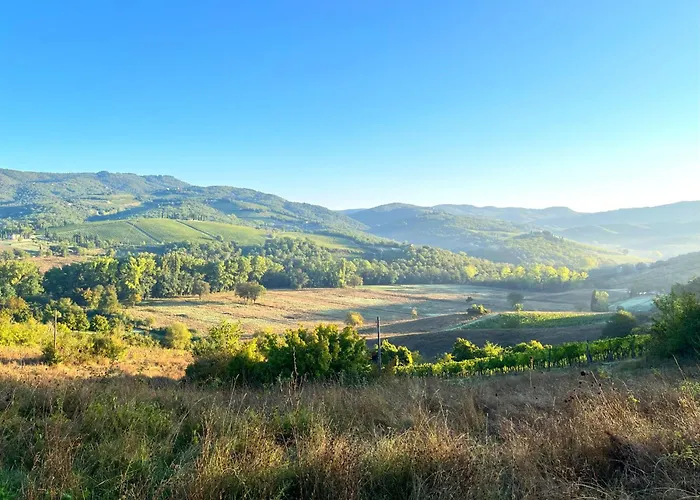 Chianti Dreaming In Radda Lägenhet